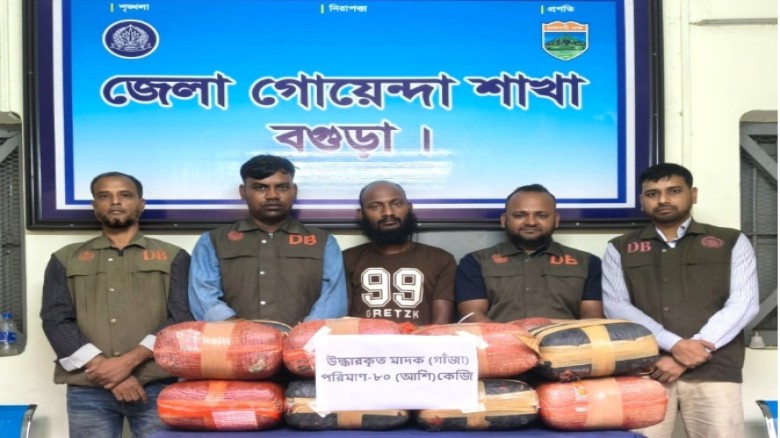 বগুড়ায় বালু ভর্তি ট্রাকে মিলল ৮০ কেজি গাঁজা...